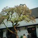 Photo of the newlywed couple holding hands walking, at an elegant wedding planned by Yiventful Co. at MacArthur Place Hotel, Sonoma.