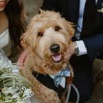 Mount Tamalpais microwedding with nine guests featuring organic and earthy styling natural textures and an intimate outdoor ceremony