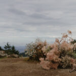 Mount Tamalpais microwedding with nine guests featuring organic and earthy styling natural textures and an intimate outdoor ceremony