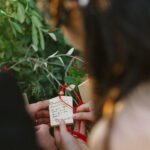 Chinese wedding planner Bay Area, Chinese wedding planner San Francisco, cultural wedding planner Bay Area, multicultural wedding planner Bay Area, Kohl Mansion wedding, Burlingame wedding venue, Bay Area wedding planner
